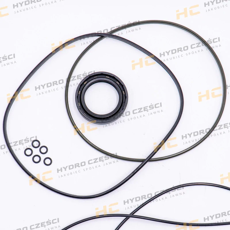 JCB комплект уплотнений гидравлического двигателя-AZERI PARTS