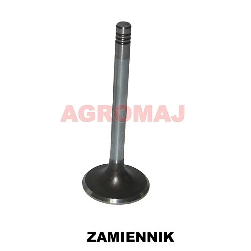 f384200210090-MWM всасывающий клапан TD226-B6 TD226-B3